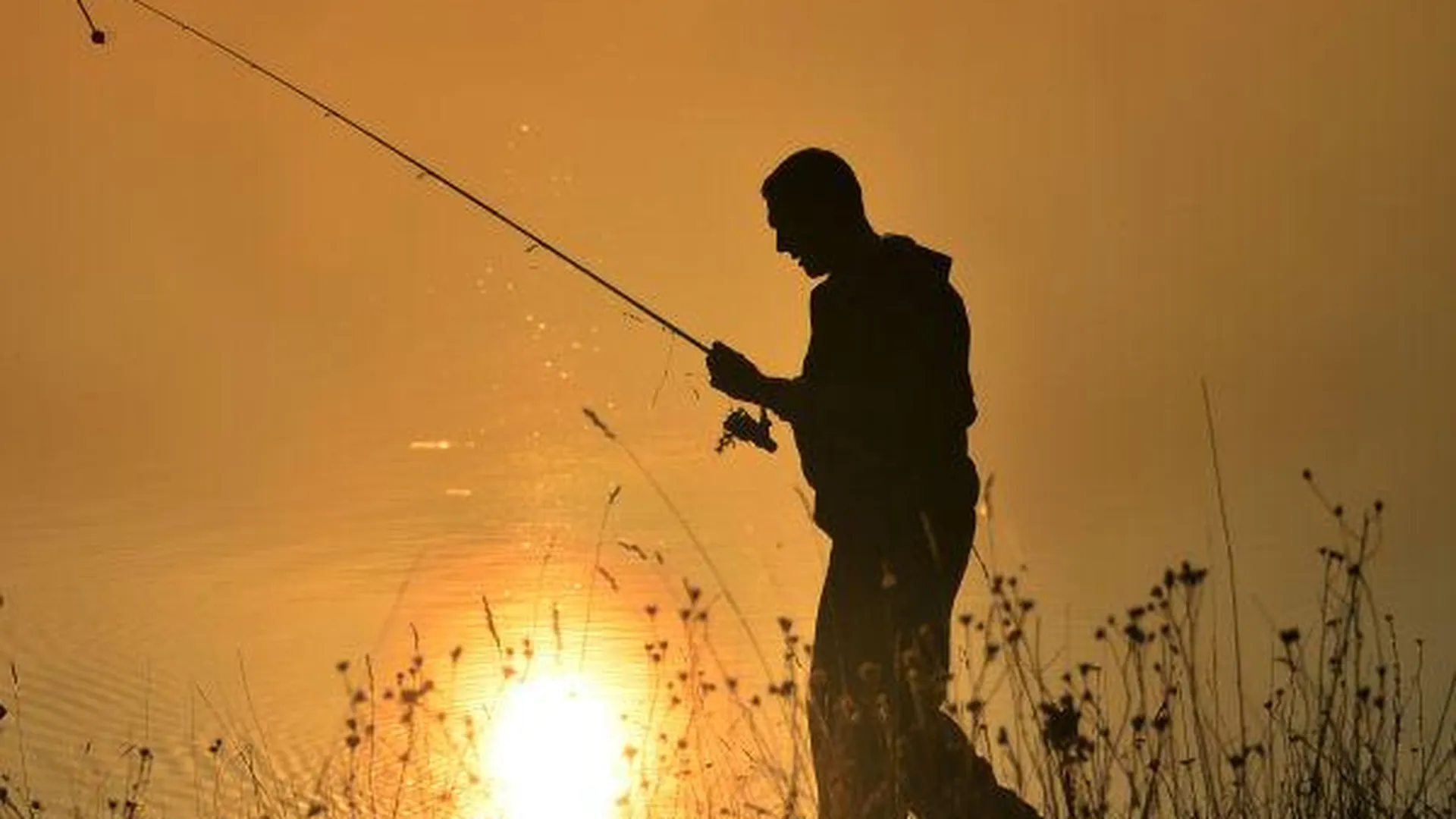 Ограничение на рыбалку в Подмосковье снимается со среды