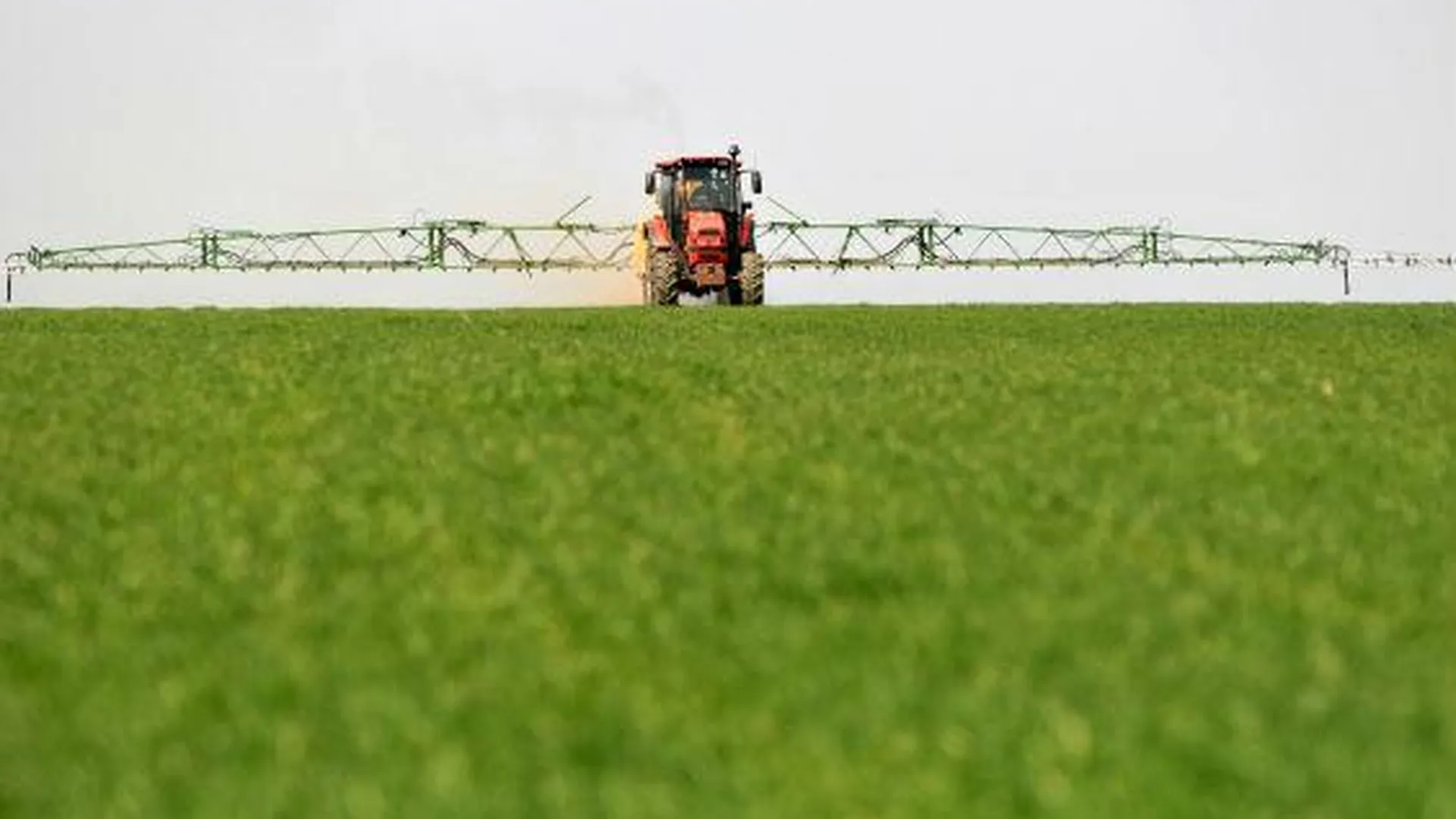 Более 50 млн руб сэкономят сельхозпредприятия Подмосковья