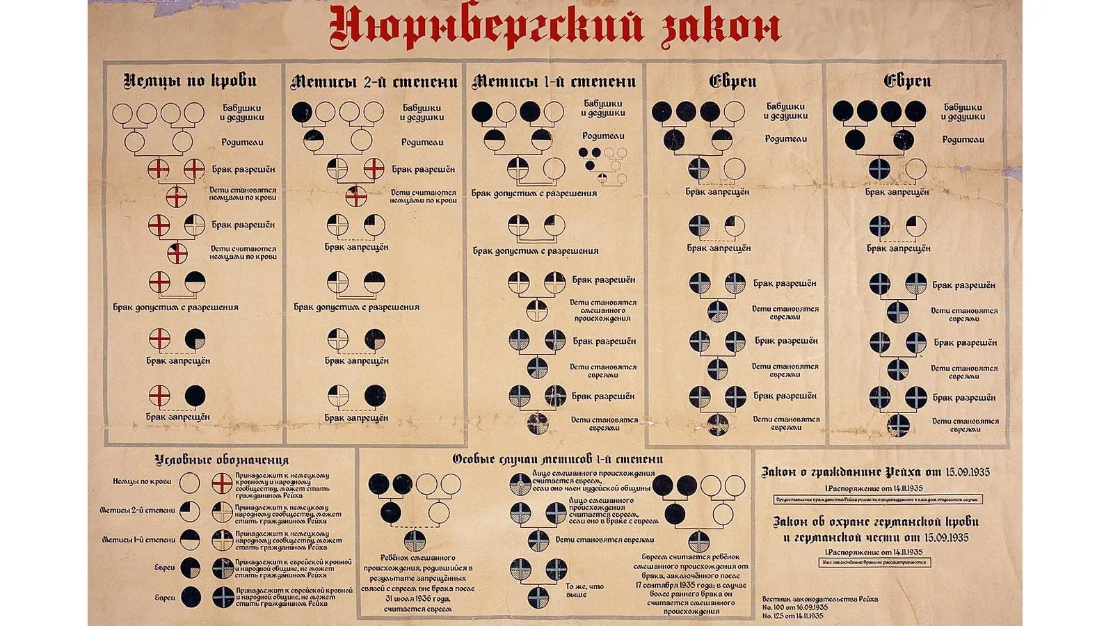 Диаграмма 1935 года, объясняющая Нюрнбергские расовые законы, определяющие принадлежность к арийцам, евреям или мишлингам (людям со смешанной кровью)