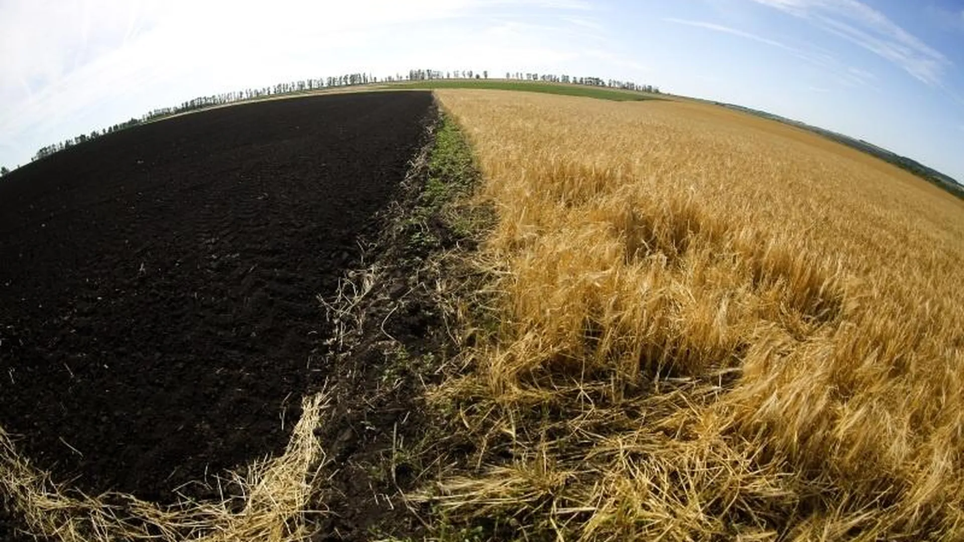 Можайск: земли будут изъяты у собственника и выставлены на торги за 2,6 млн рублей