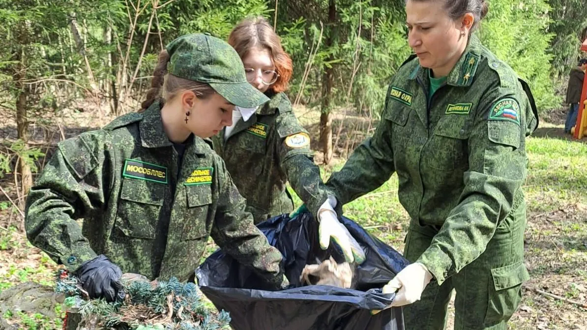 Лесничие Подмосковья убрали свыше трехсот кубометров бытового мусора на Всероссийском субботнике
