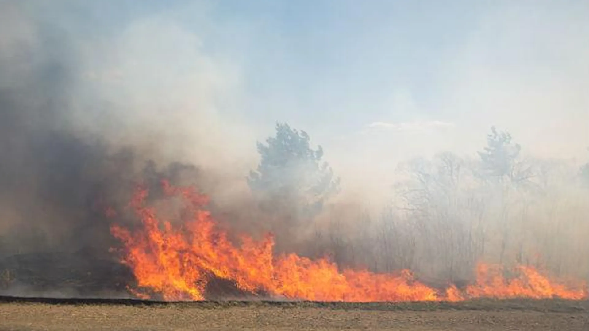 Коломенские школьники предотвратили серьезный пожар 