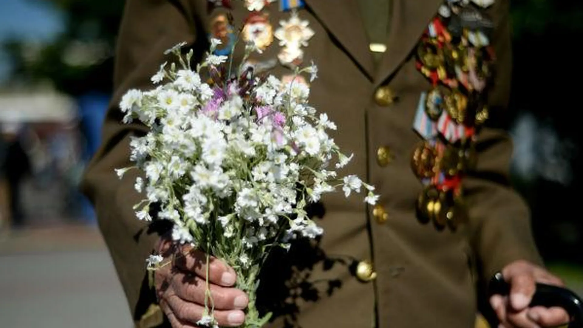 Ветеранов войны бесплатно обслужат в VIP-зале аэропорта Домодедово в честь Дня Победы