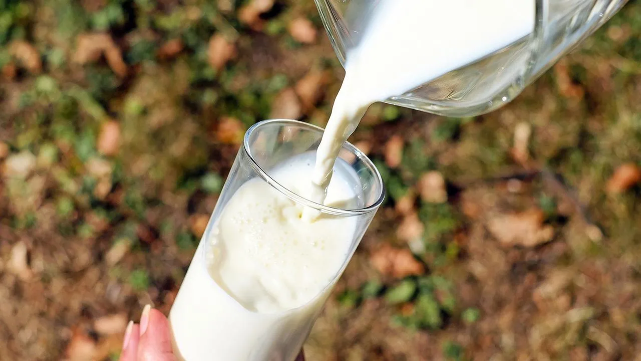 Врач-диетолог рассказал какую опасность представляют молочные продукты