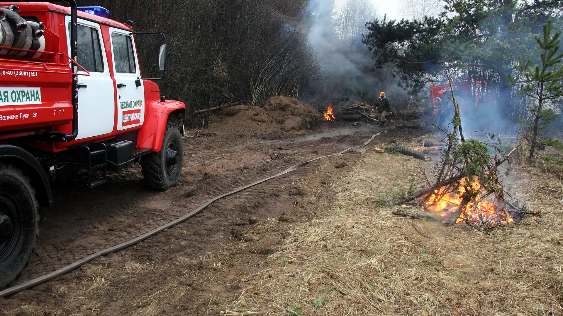 Лесной пожар потушили в Луховицах