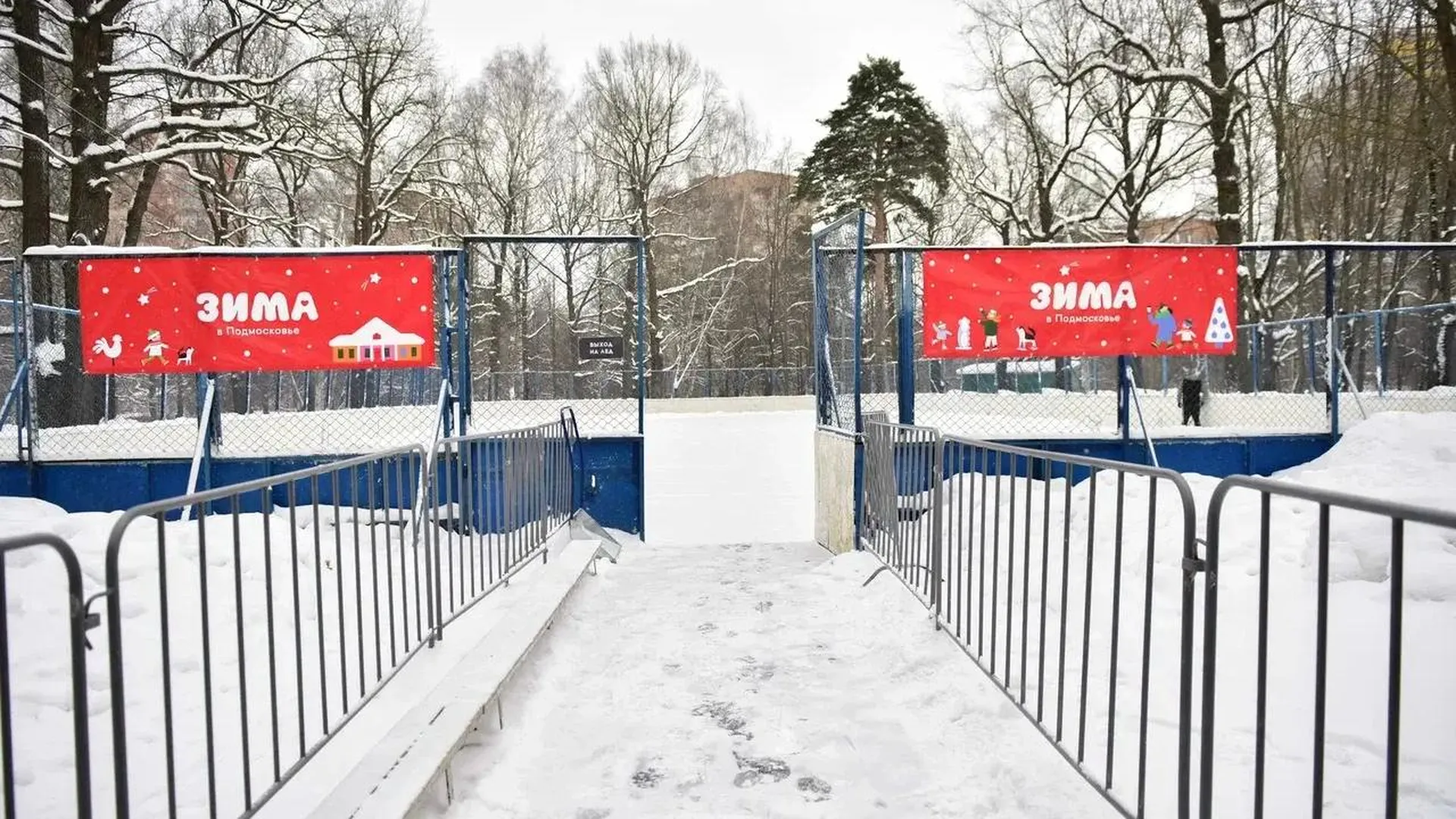 Каток с натуральным льдом заработал в парке Толстого в Химках