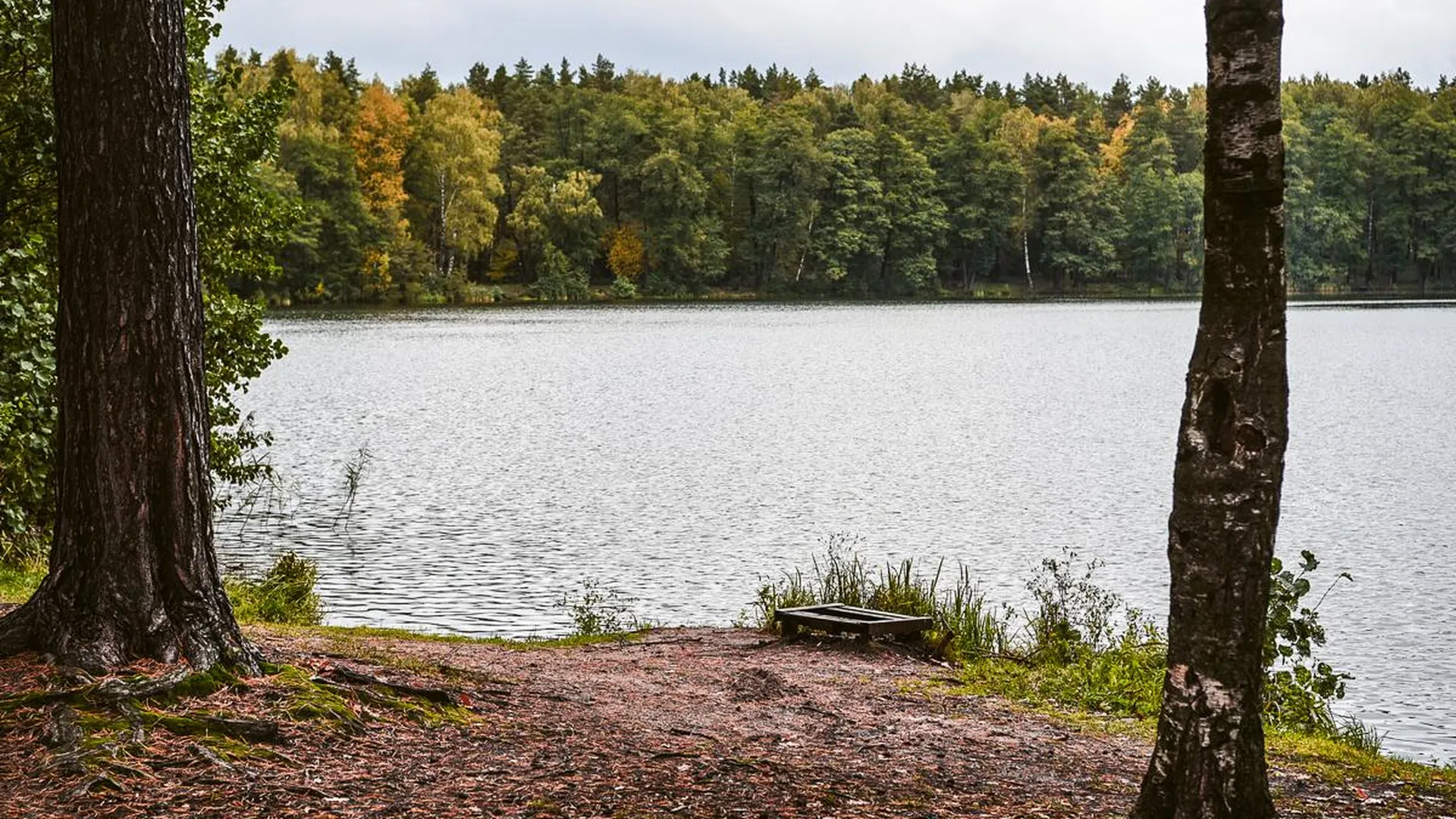Озеро Белое Шатурский Район Фото