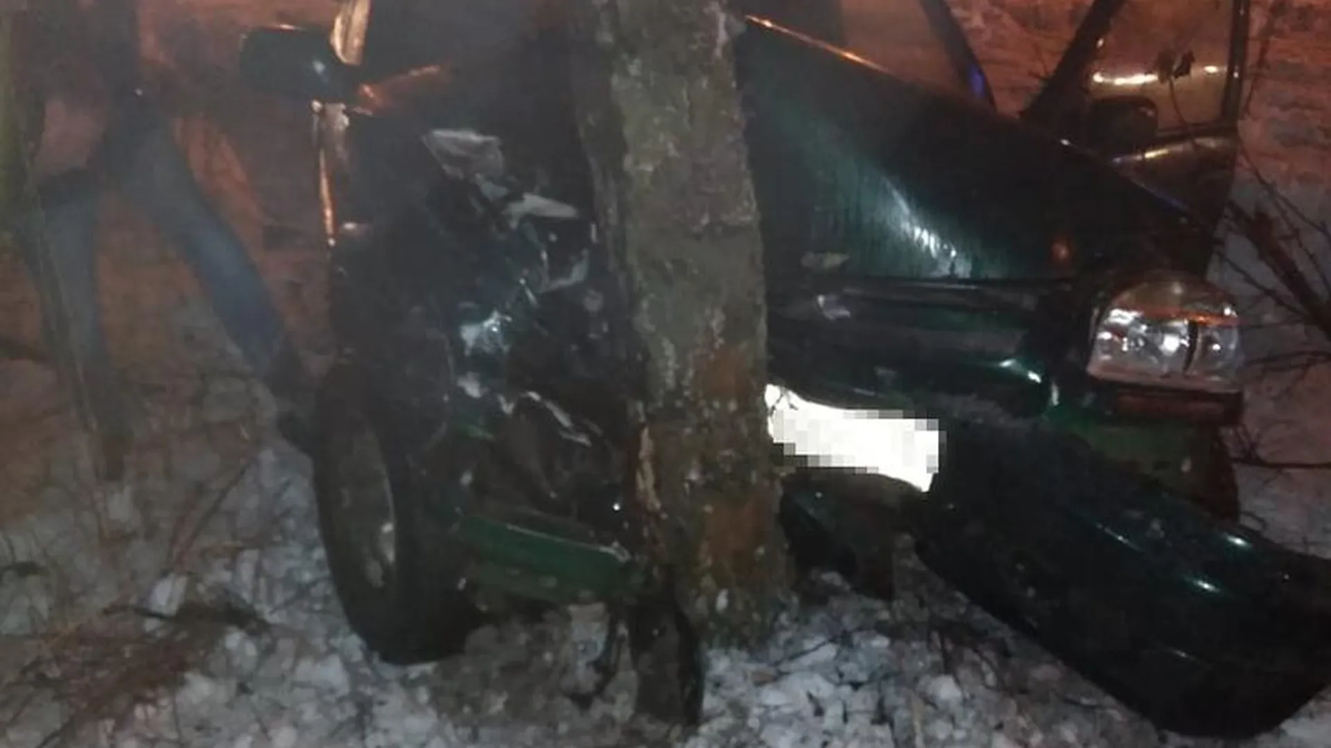 Водитель снес дерево и сломал себе челюсть в Пушкино