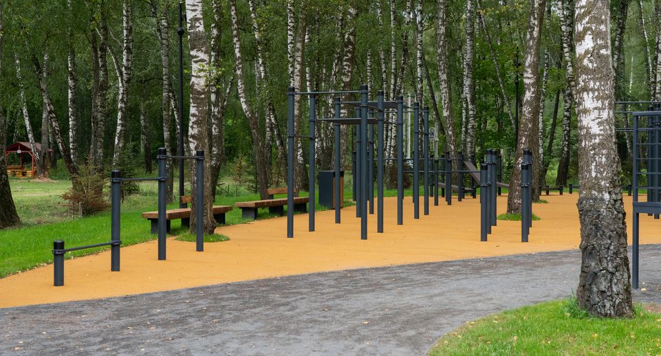 Детскую площадку в «Дубровицком лесу» благоустроят в Подольске до конца лета