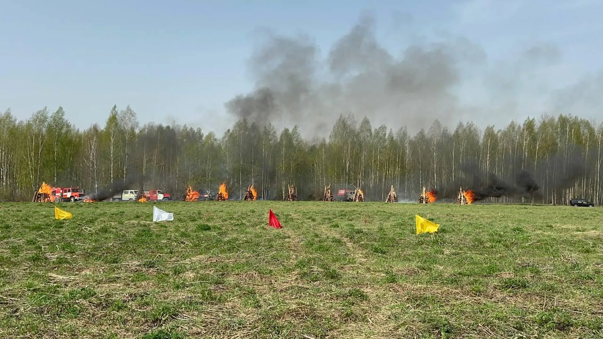 Учения по ликвидации лесных пожаров прошли в Богородском округе