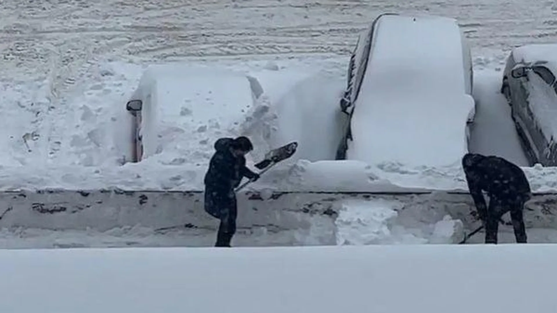 Торговцы специально закидали снегом автомобили горожан в Орехово-Зуево
