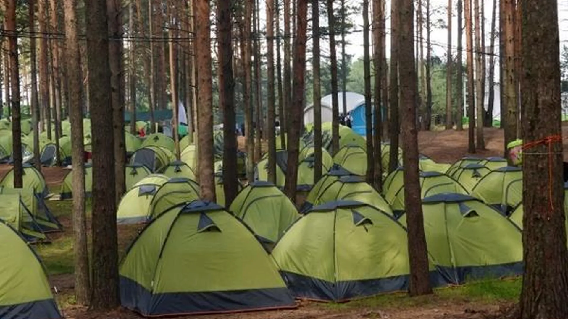 Палаточный лагерь появится в Озерском районе