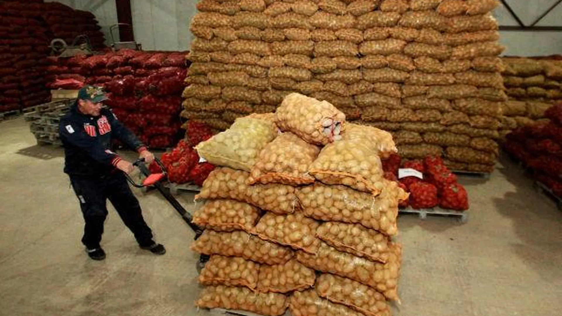 Почти 15 тонн картофеля продали на Ценопадах в Подмосковье