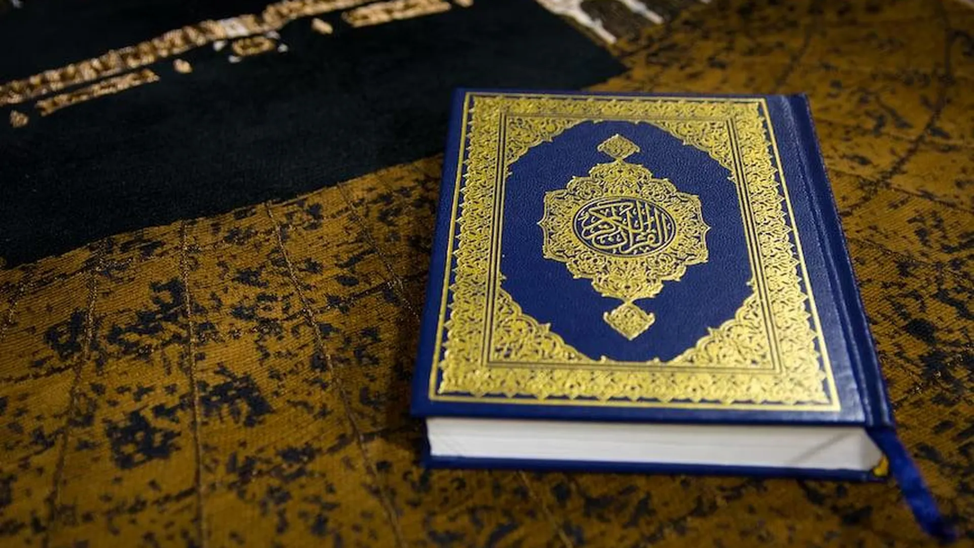 МИД Турции вызвал временного поверенного в делах Дании из-за акций осквернения Корана