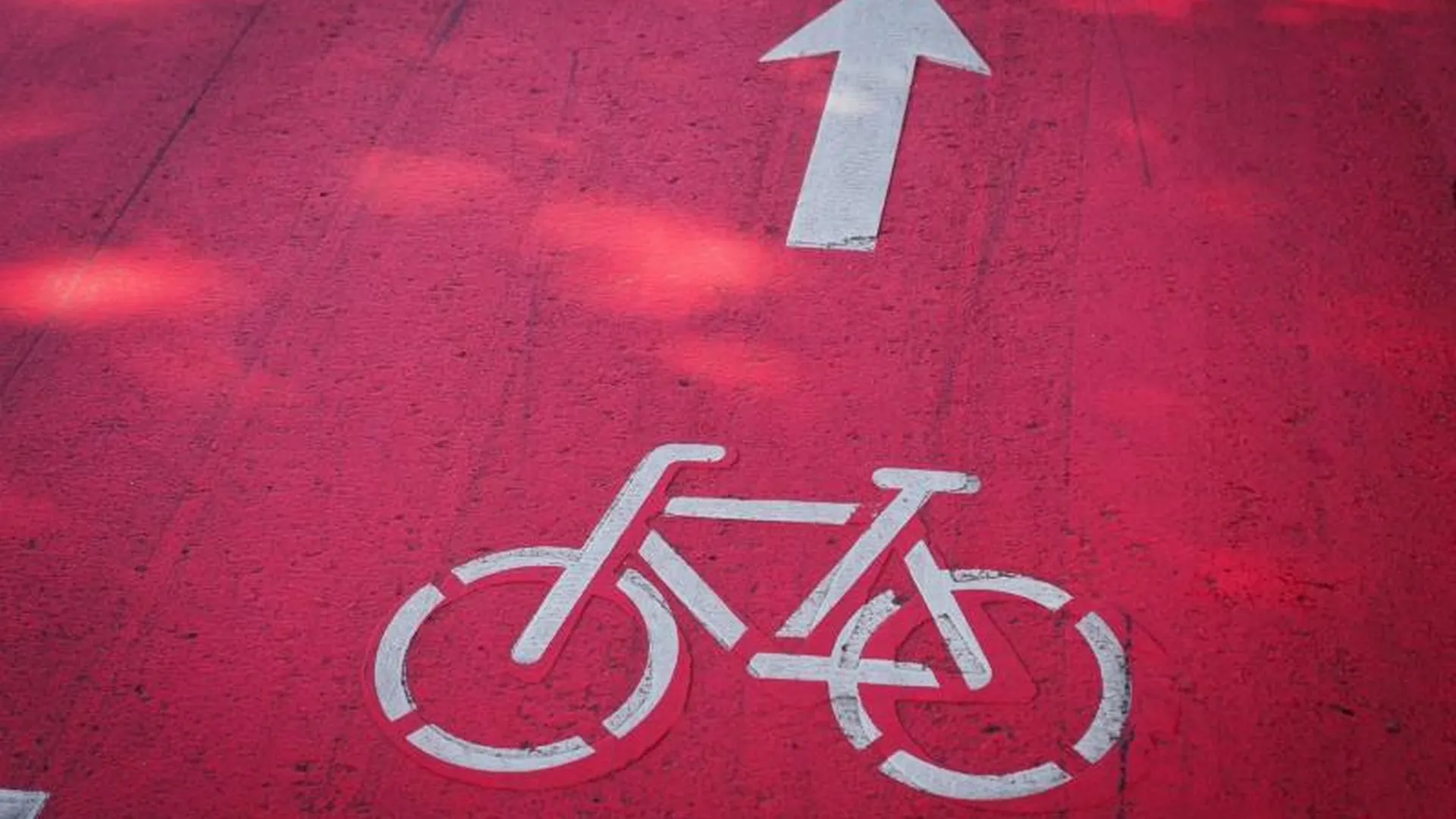 Велосипедисты VS «яжматери»: жители Краснознаменска не поделили велодорожку