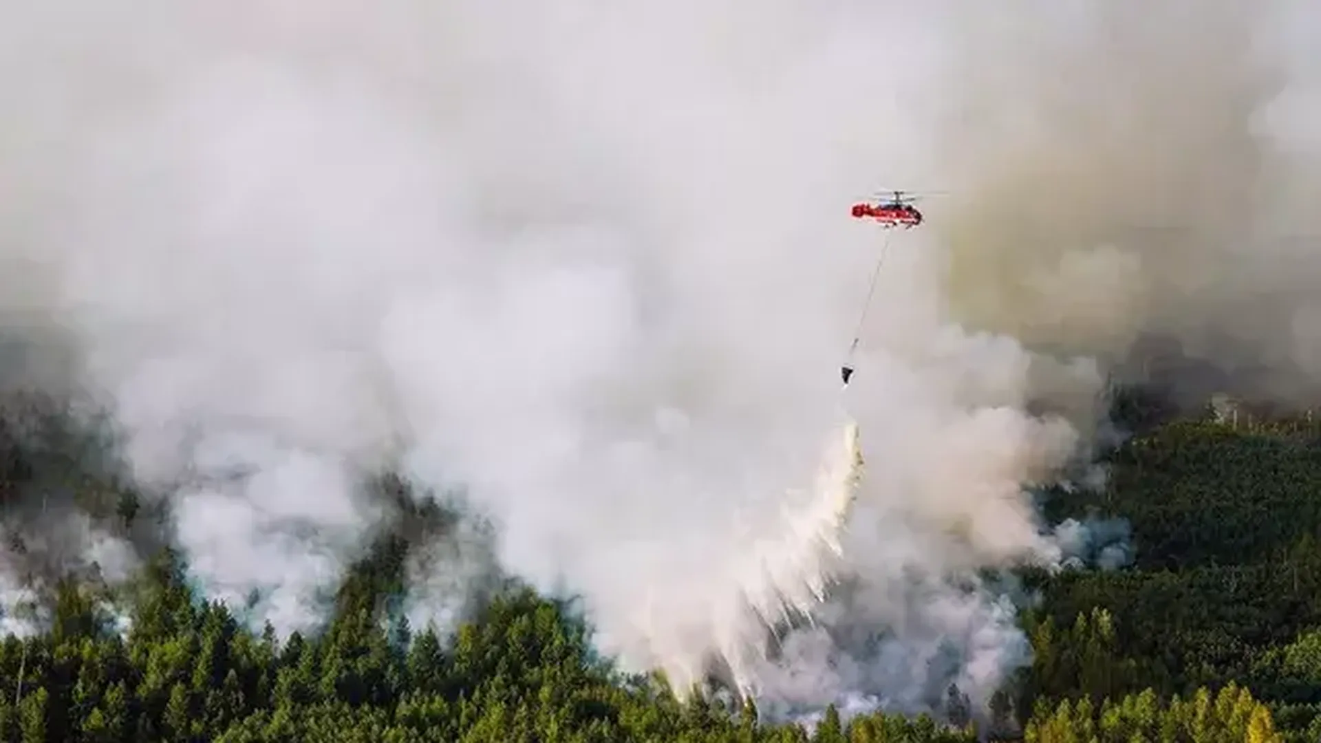 Авиацию России привлекли для тушения пожаров в Турции