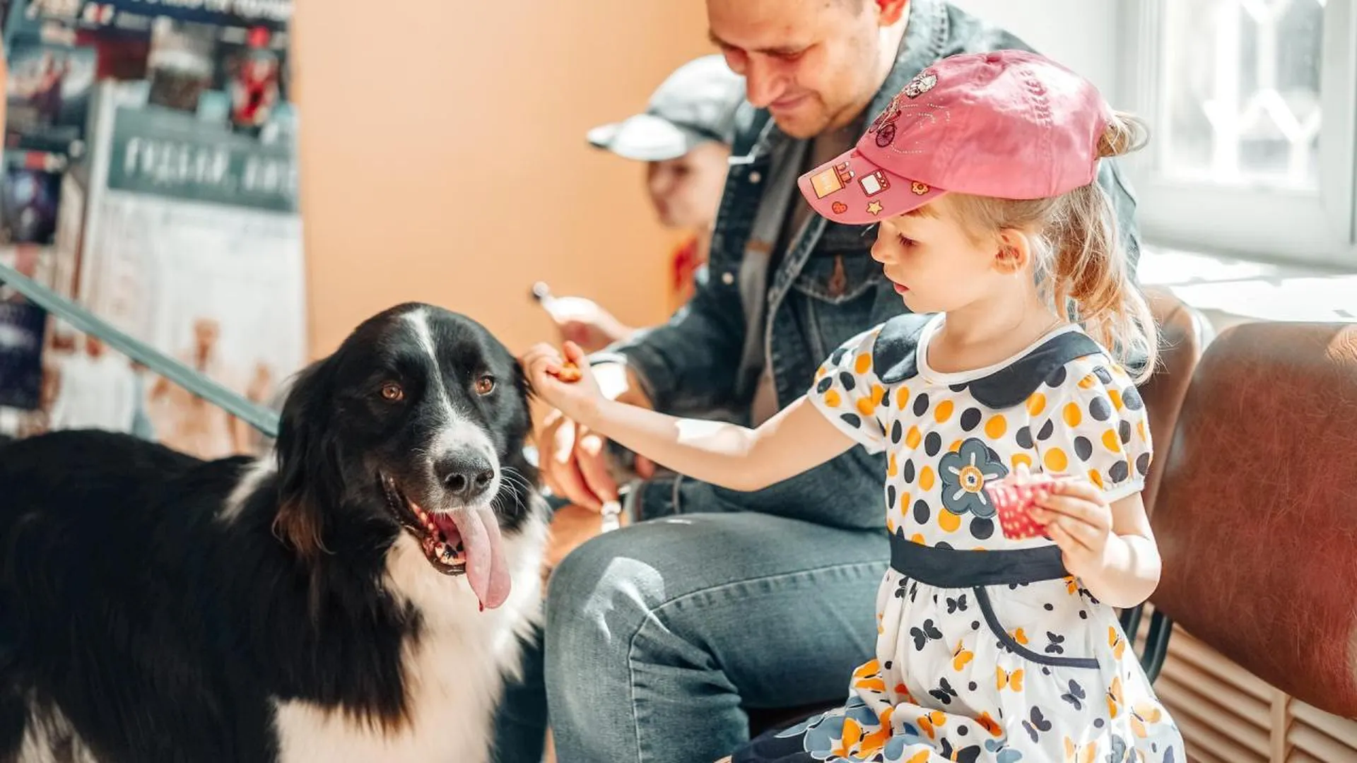 Собаки помогают в реабилитации пациентов центра в Орехово-Зуево