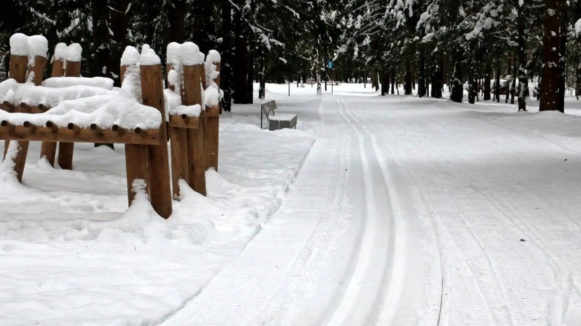 Лыжная трасса открылась в Павловской Слободе