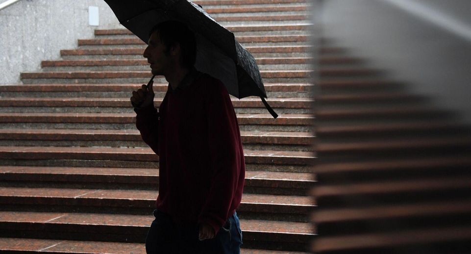 Синоптик Позднякова пообещала неустойчивую погоду с ливнями в Москве