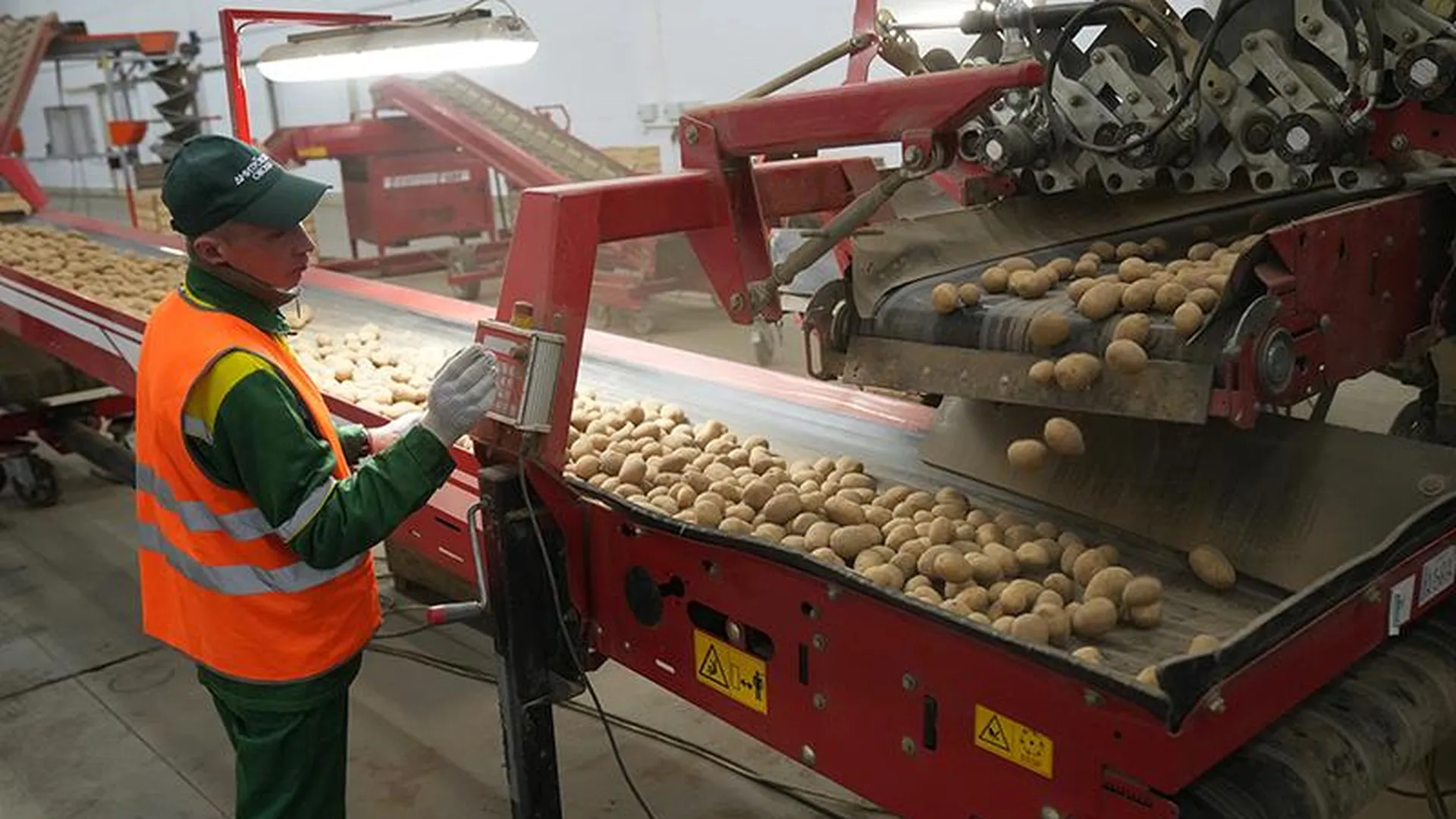 На 10% планируют увеличить производство овощей и картофеля в этом году 