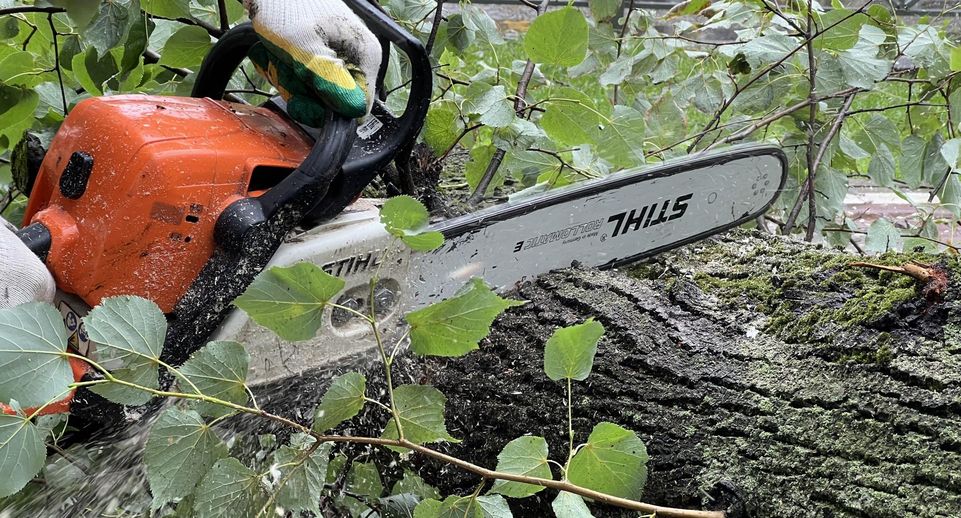 Коммунальщики убрали упавшие деревья и ограждения после урагана в Химках