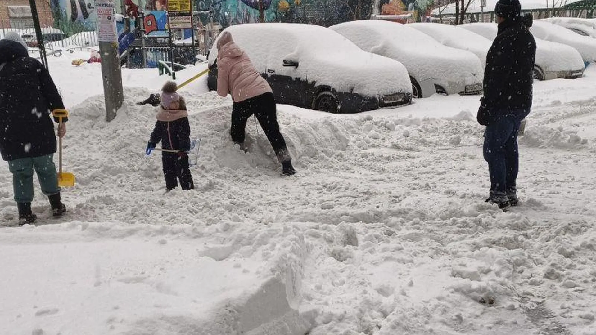 Жители Подмосковья вышли на борьбу со снегом