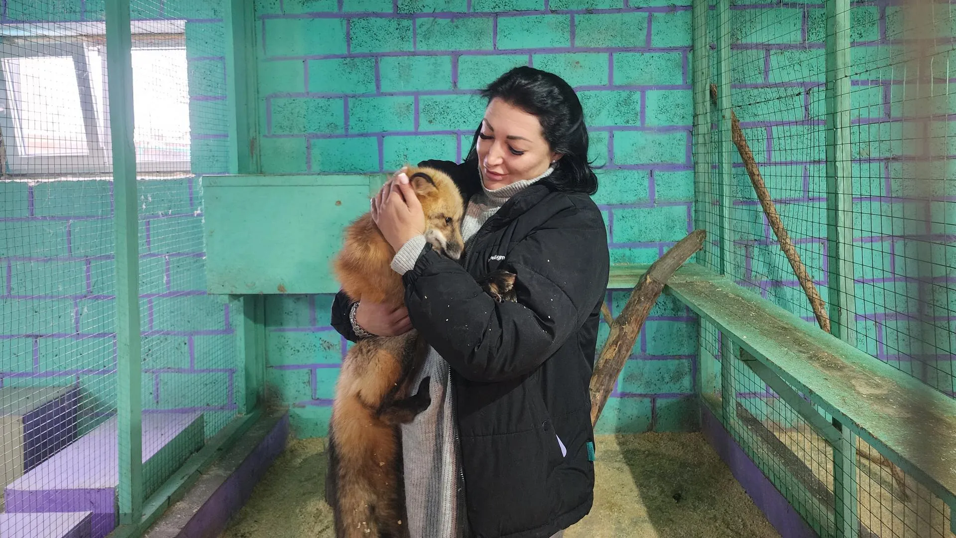Жительница Егорьевска открыла приют для обездоленных диких животных | 360°