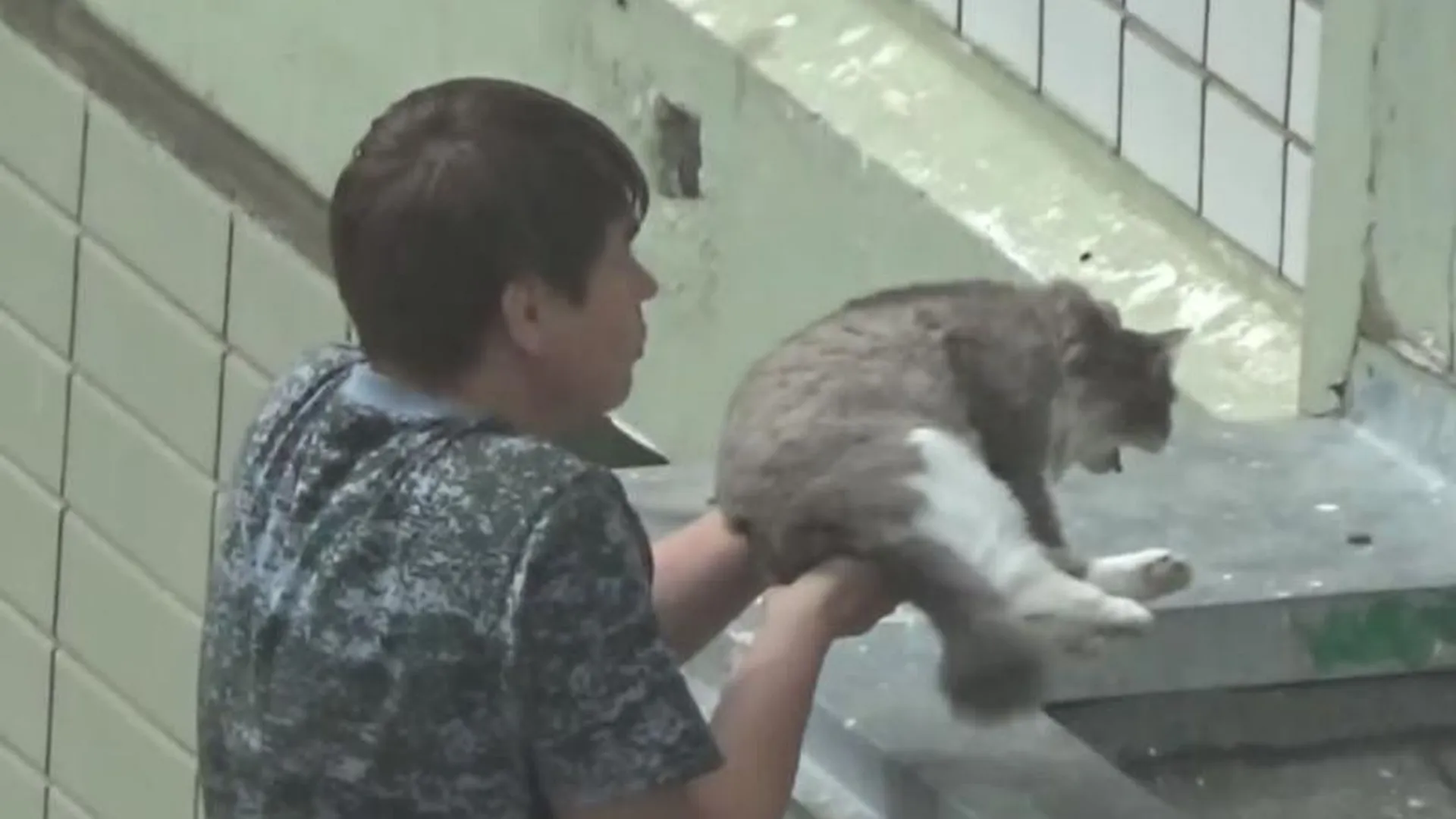 Житель Подольска, рискуя упасть с балкона, спас кота
