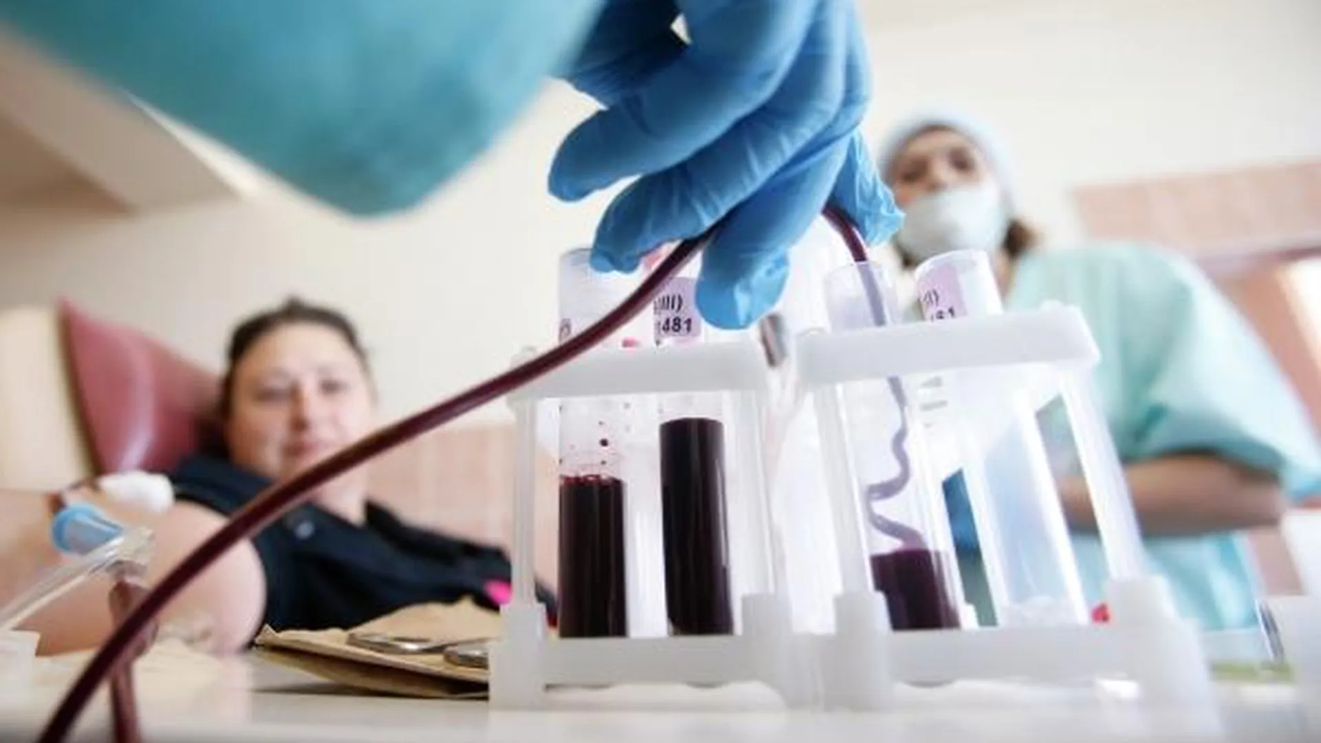 В Подмосковье больше 40 тысяч пациентов ежегодно получают донорскую кровь и ее компоненты