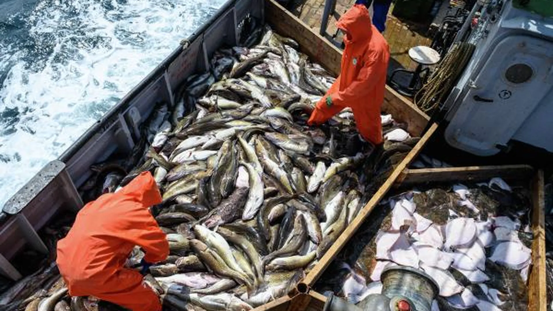 Япония нарастила импорт рыбы из России