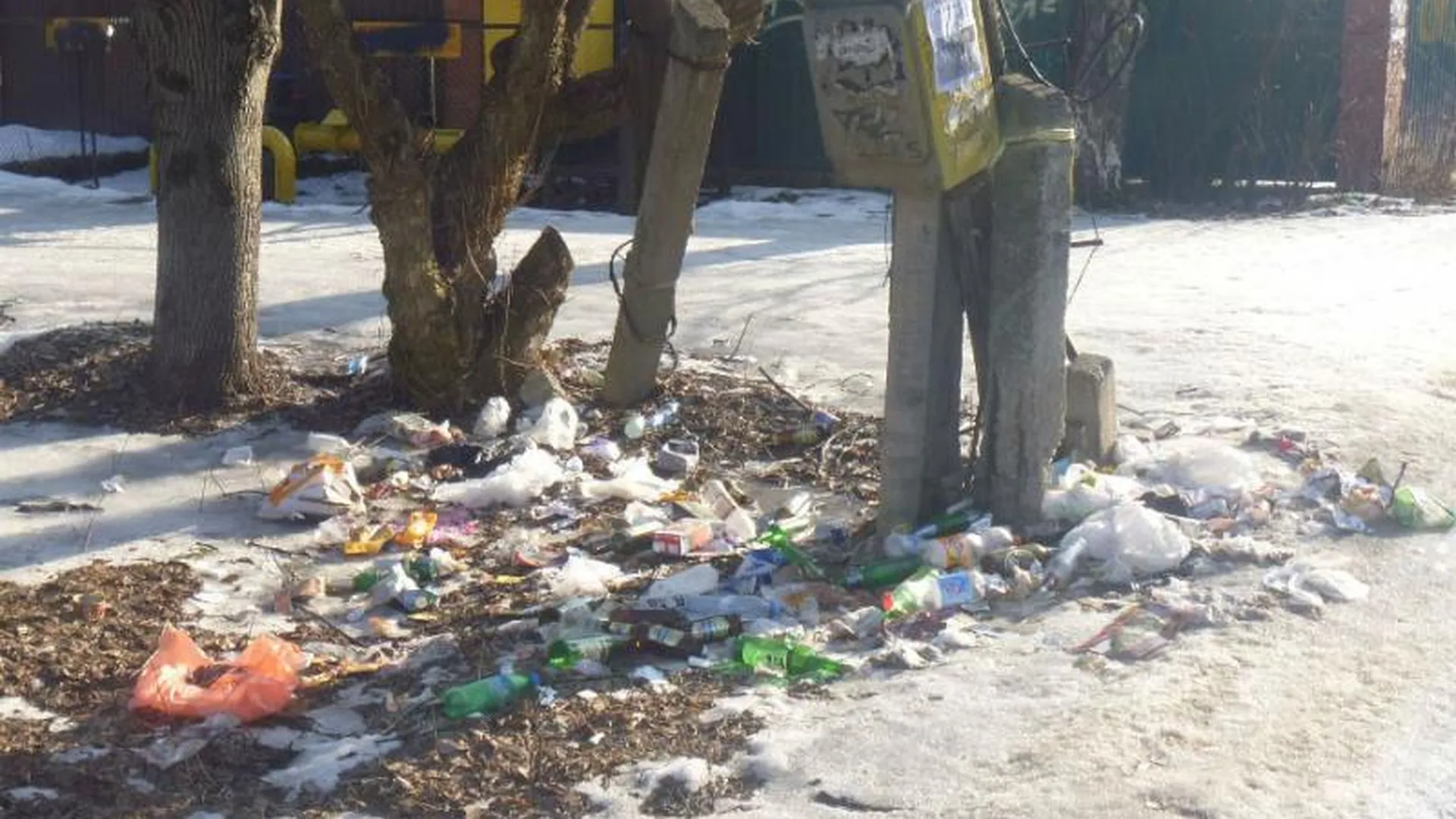 Четыре очаговых навала мусора выявили в области за минувшую неделю