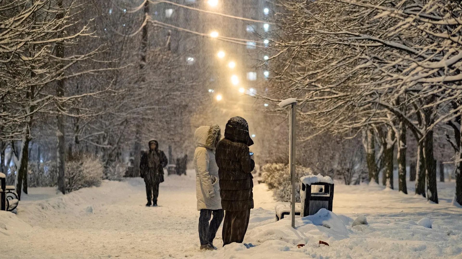 Зима, Москва. Фото: Konstantin Kokoshkin