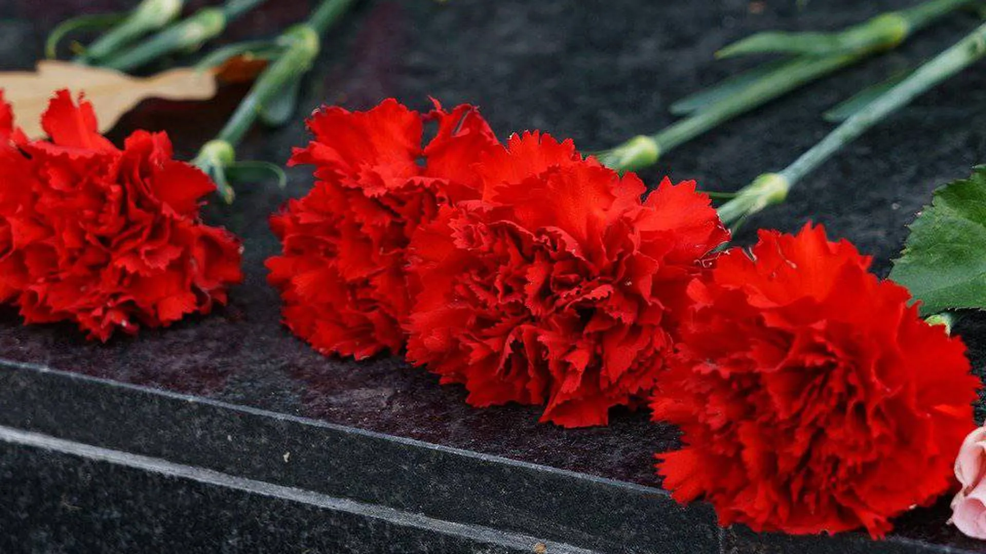 Мемориал в память о погибших появился в МФЦ на юго-востоке Москвы