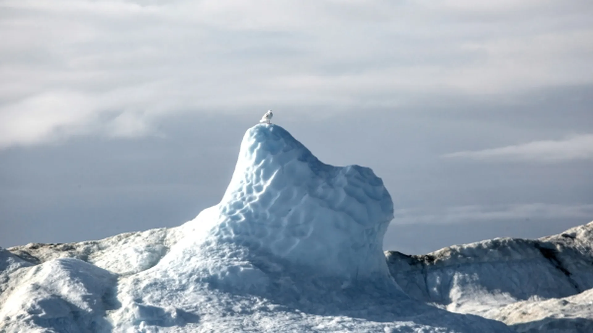 Раскололся крупнейший ледник Гренландии