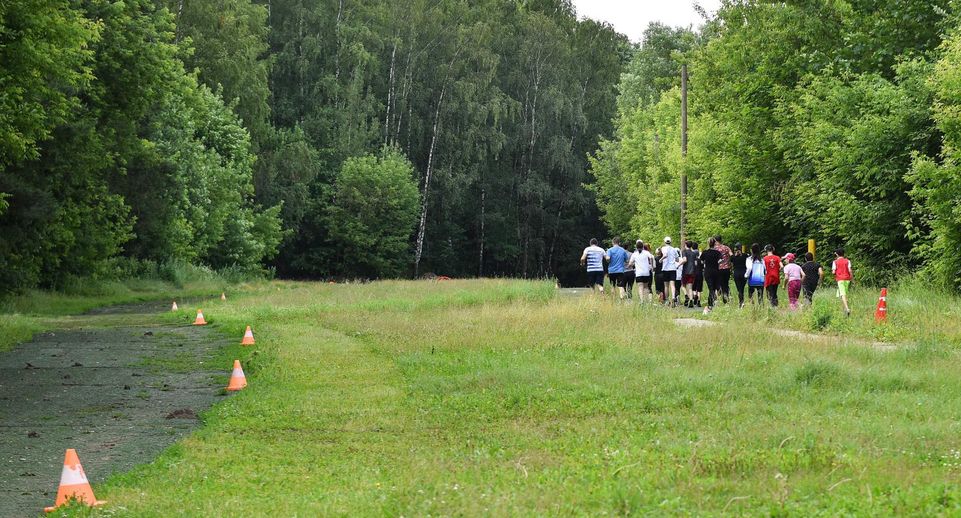 Летний забег для спортсменов-любителей «Здоровье» организовали в Химках
