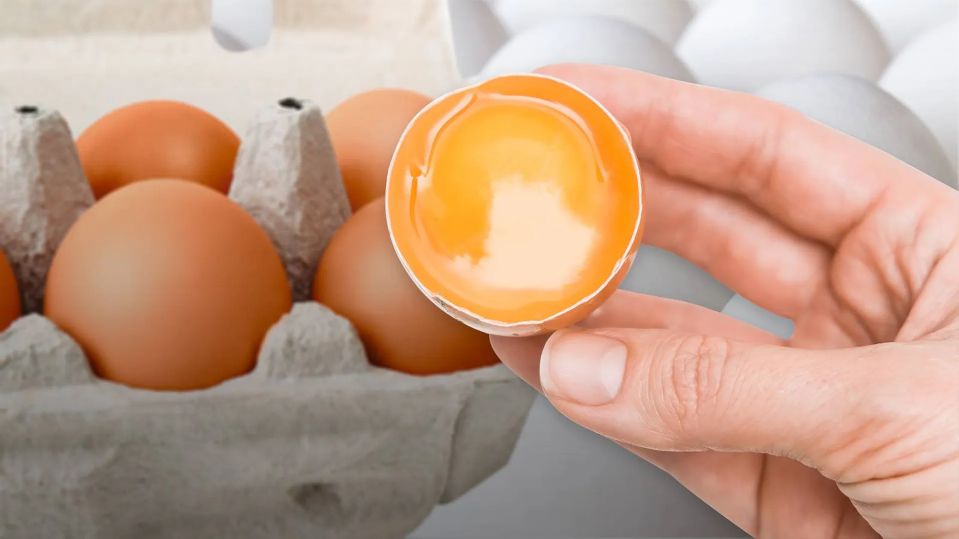 Яйца первой и второй категорий упали в цене. В чем их отличие?