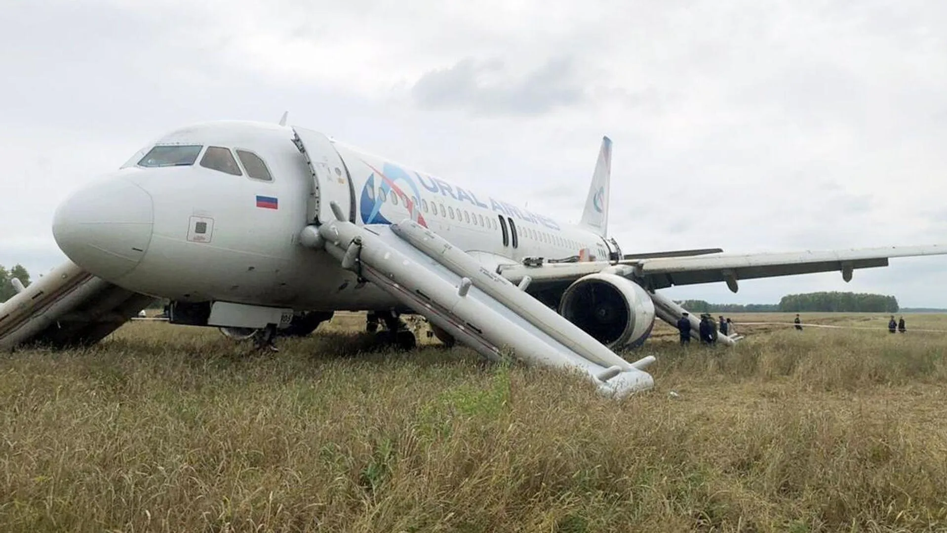 Росавиация разослала рекомендации пилотам после посадки самолета в поле |  360°