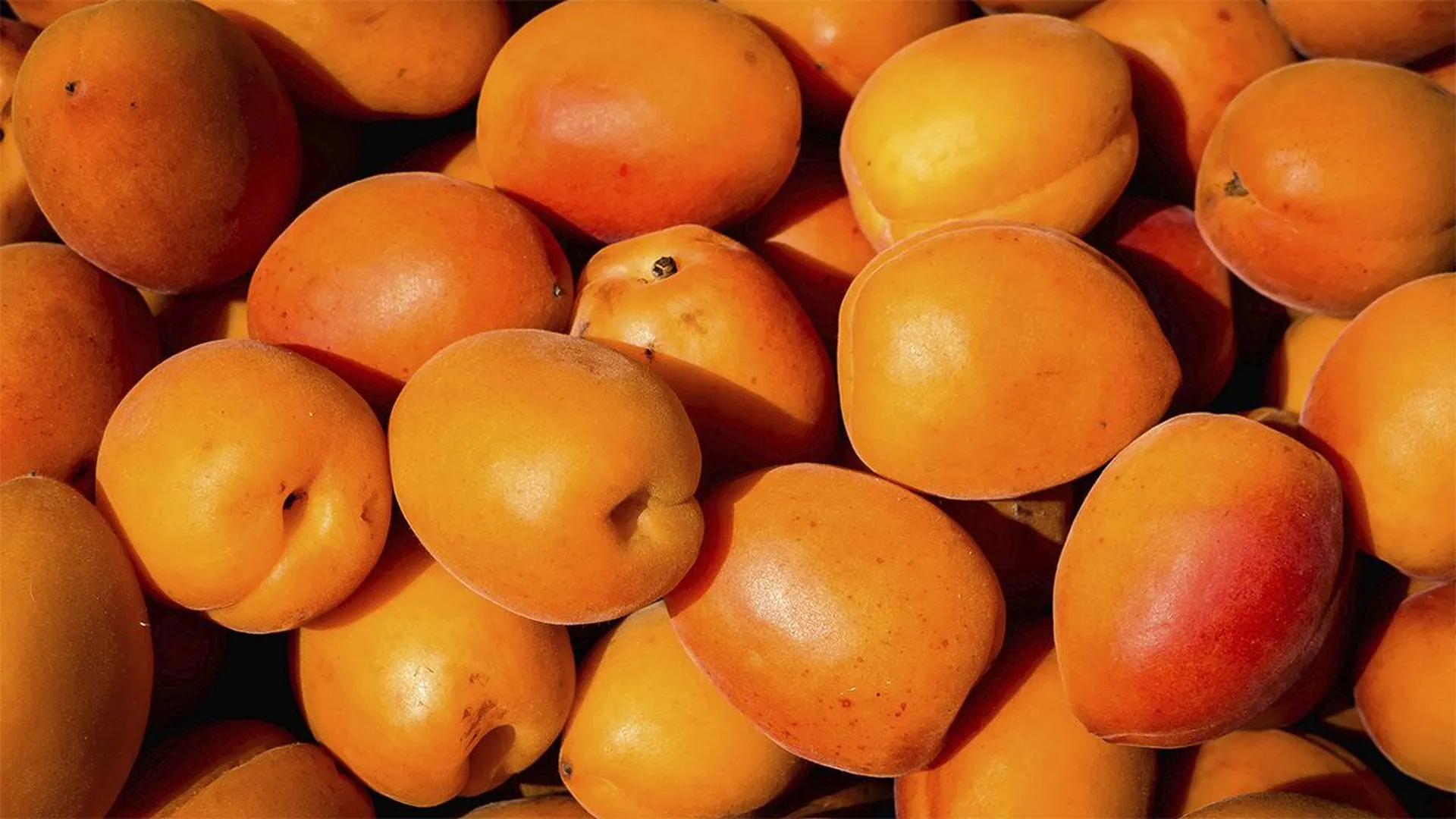 В Свердловскую область привезли более 20 тонн зараженных абрикосов из Казахстана