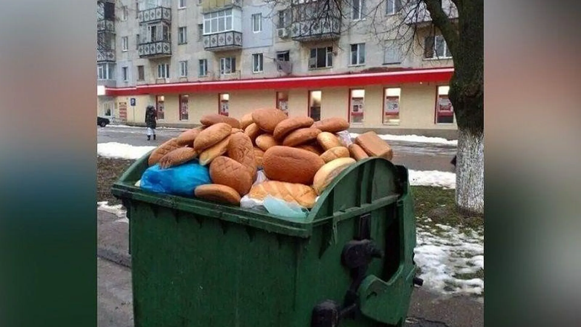 Полный мусорный контейнер хлеба обнаружили в Павловском Посаде