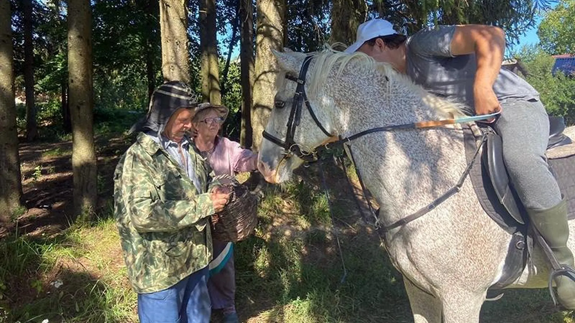 Волонтер из Можайска рассказал, почему патрулирование на лошади – это самый действенный способ защитить леса