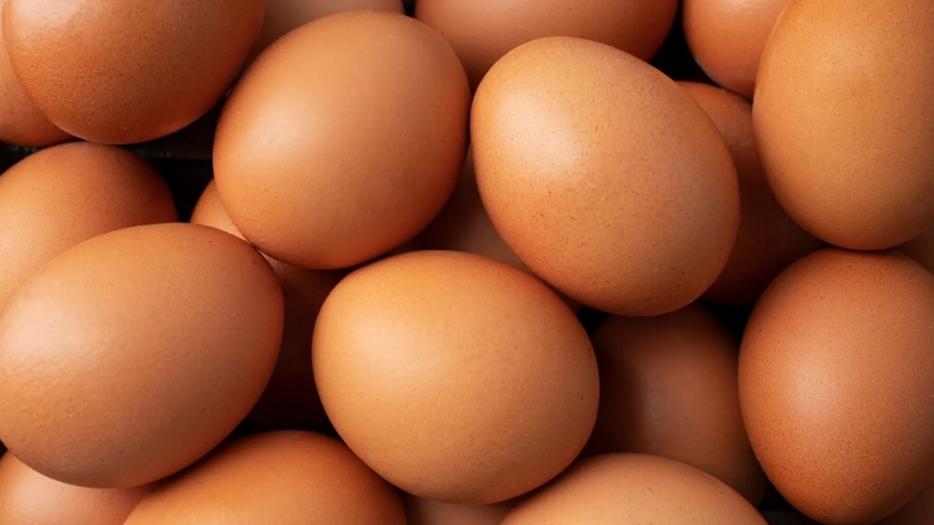 Правительство одобрило идею снятия пошлин на импортные яйца — СМИ