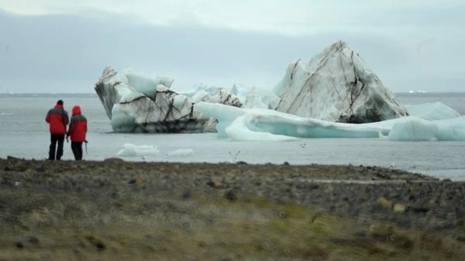 Старшеклассники из Химок и Дедовска открыли новый остров в Арктике