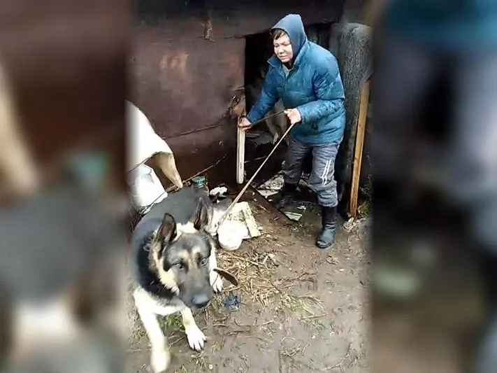 Женщине, несколько лет прожившей в сарае с овчаркой в Серпухове, помогут найти новый дом