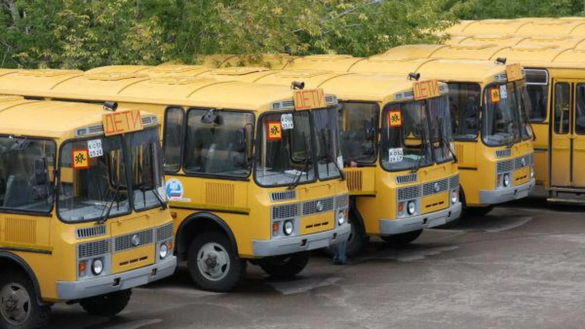 В Подмосковье будет работать более 360 школьных автобусов