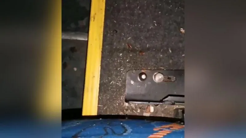 Вместе с пассажирами автобуса №28 в Раменском катались тараканы