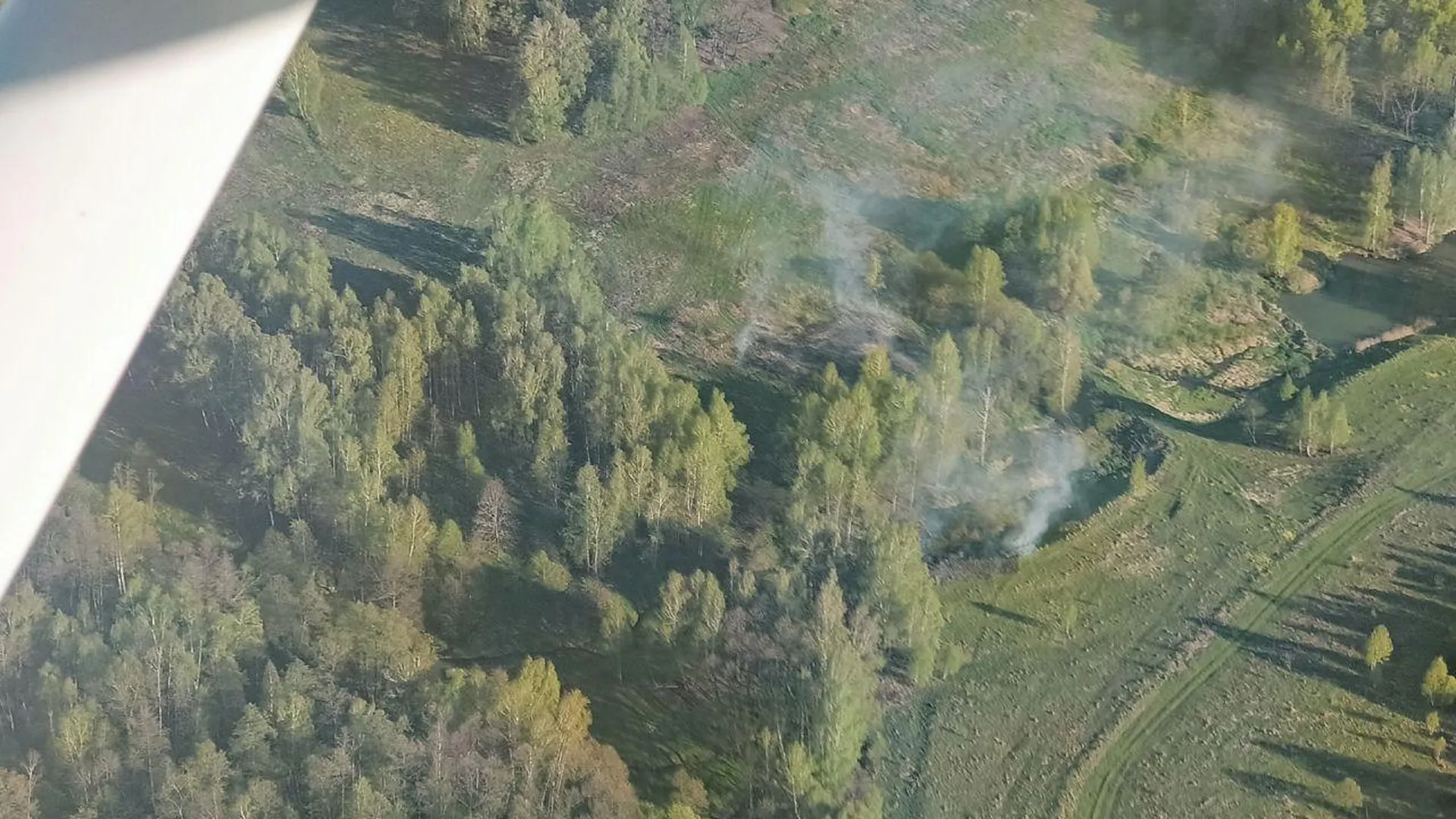 Лесной пожар потушили в Балашихе