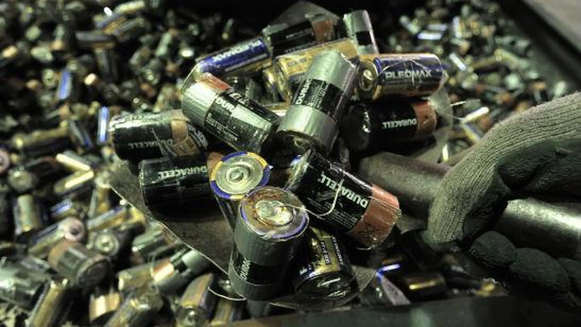 Более 40 экобоксов для батареек и градусников установят в Рузском районе