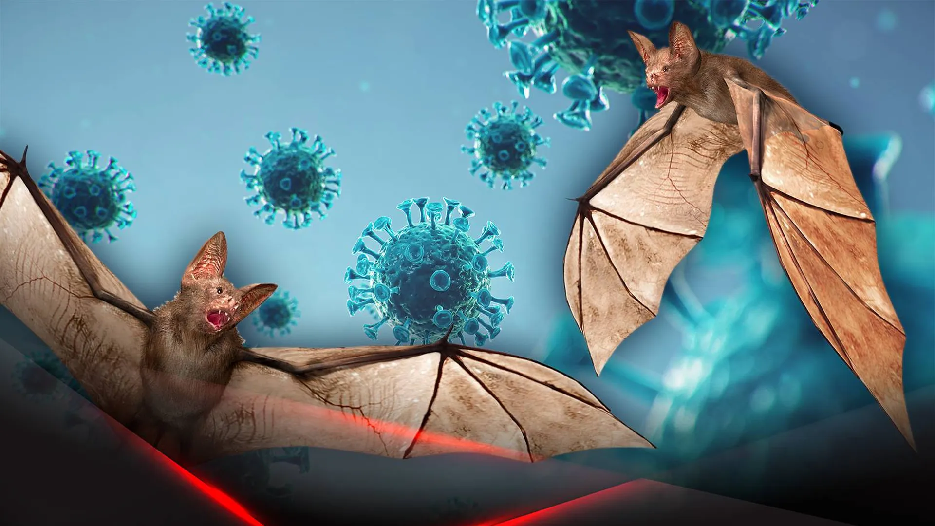 Летучие мыши на фоне молекул коронавируса
