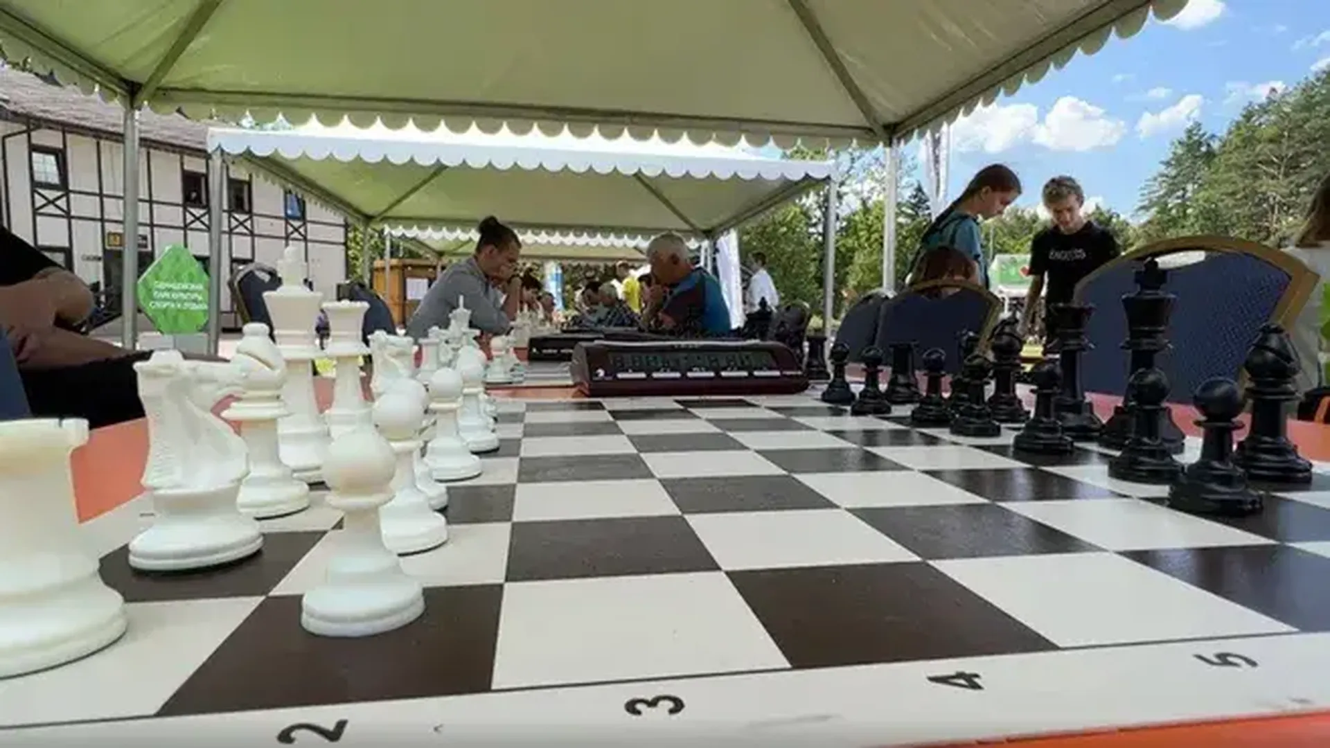 Шахматисты из Звенигорода и Кении сыграют товарищеский турнир в феврале