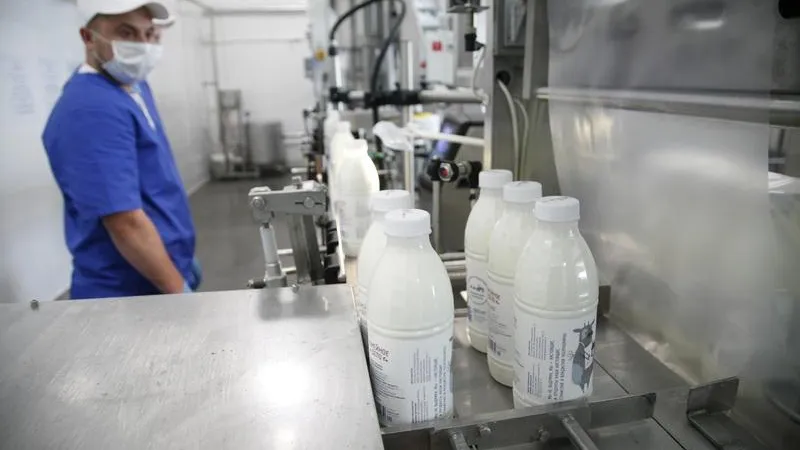 До миллиона тонн в год планируется довести производство молока в Подмосковье
